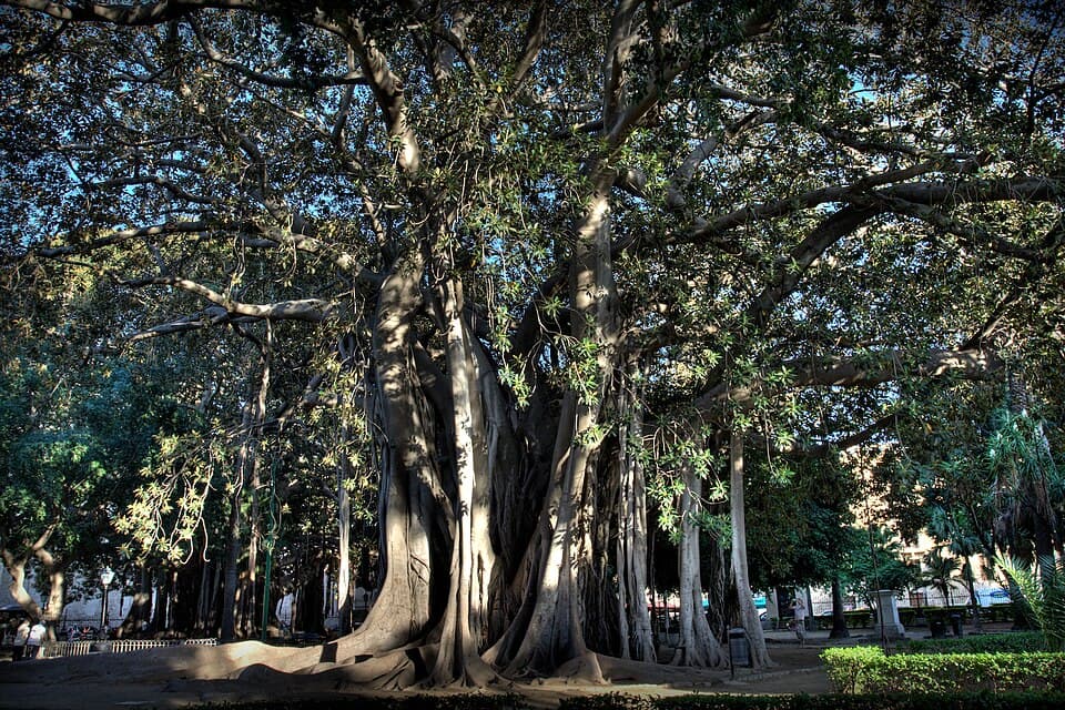 Piazza Marina e Giardino Garibaldi